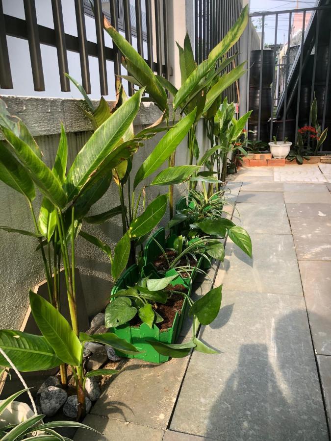 Homestay Phuong House Hoi An Zewnętrze zdjęcie