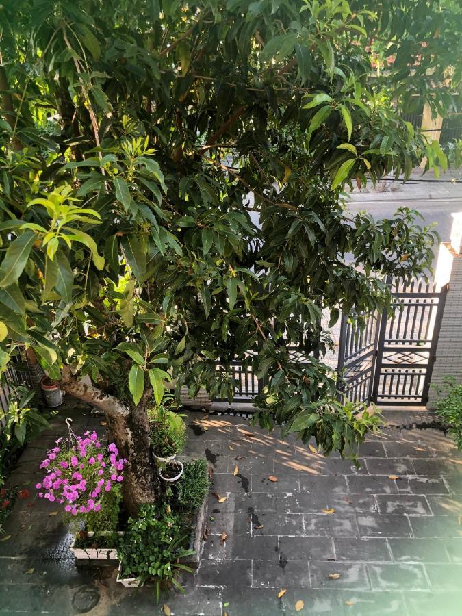 Homestay Phuong House Hoi An Zewnętrze zdjęcie