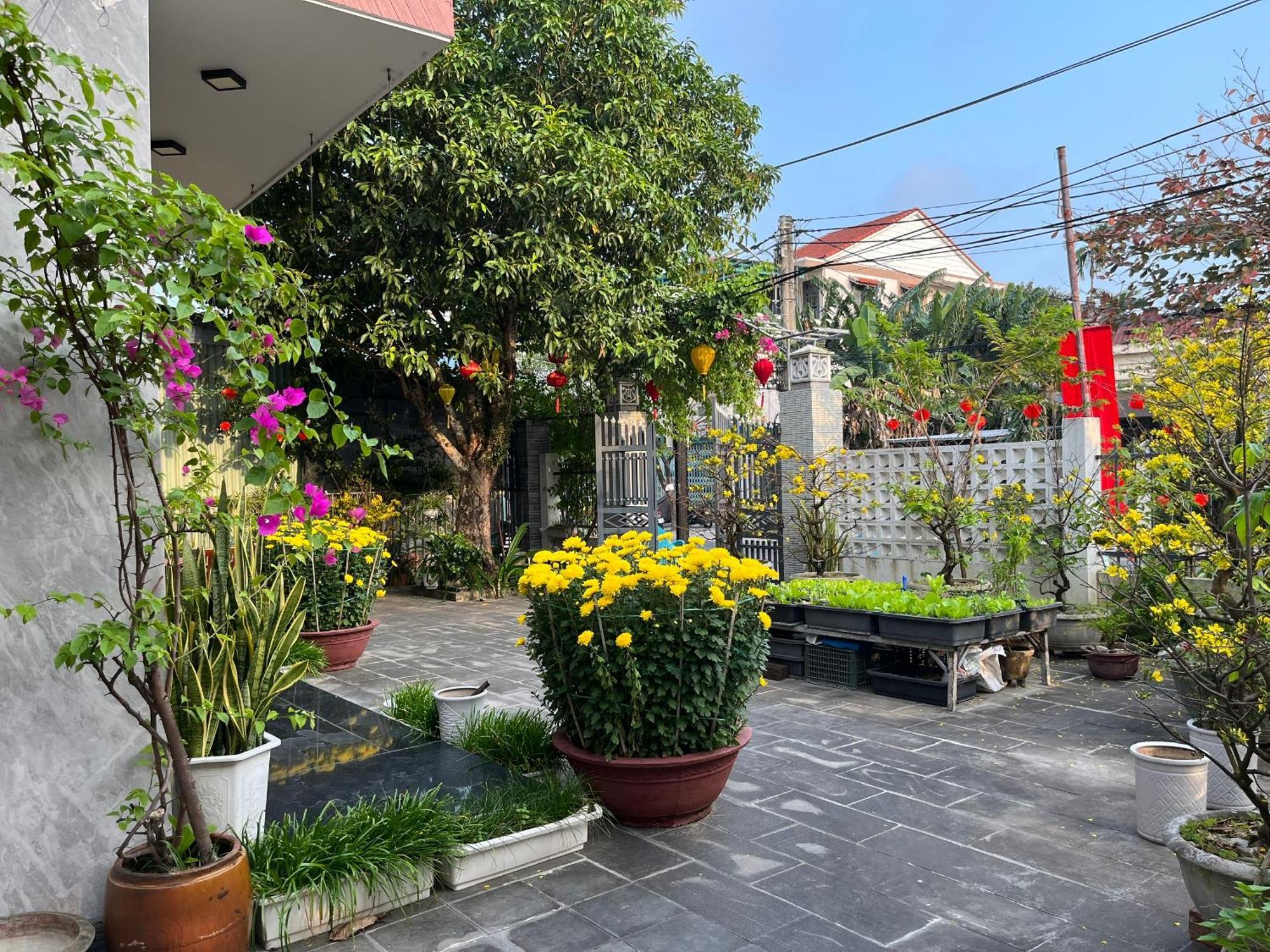 Homestay Phuong House Hoi An Zewnętrze zdjęcie